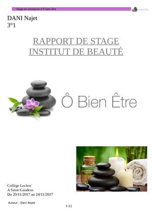 Rapport De Stage Dani Najet 3eme1
