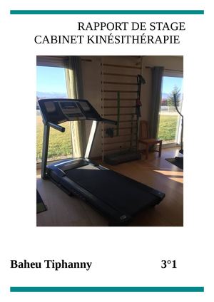 Rapport Stage Tiphanny 3e1