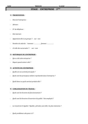 Rapport De Stage