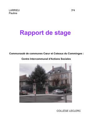 Larrieu Pauline 3eme4 Rapport De Stage