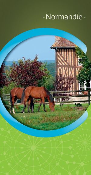 Guide Cezam Normandie 2018