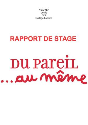 Rapport De Stage Dpam