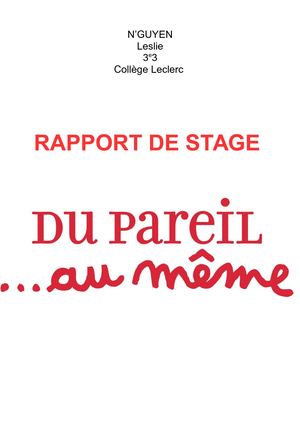Rapport De Stage Leslie 3e3