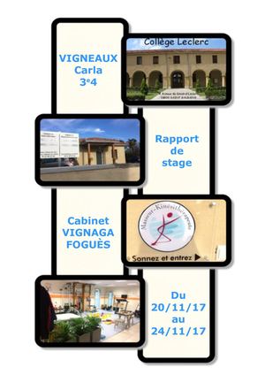 Rapport de stage - Carla VIGNEAUX 3°4