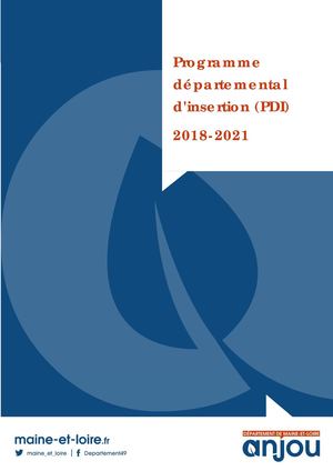 Programme Departemental d'insertion