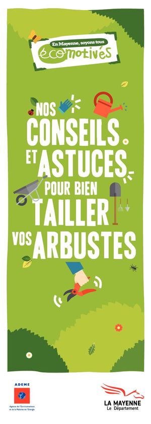 Memo Taillage Arbustes