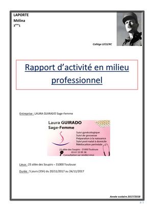 Rapport De Stage Mélina