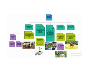 Mapa Mental Recursos Naturales