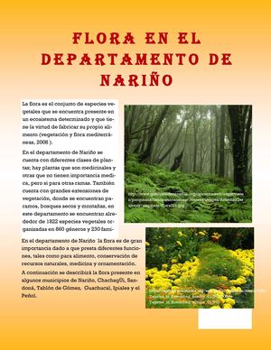 Legislacion Flora En Nariño
