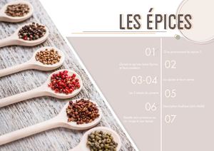 Epices - DANON-J 20