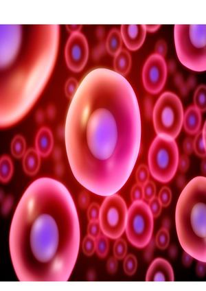 Webquest 1ro De La E