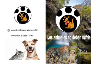 Los Animales No Deben Sufrir