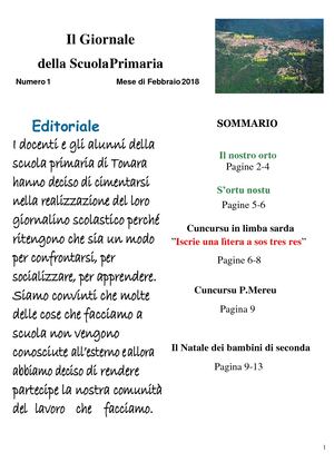Il Giornale Della Scuola Primaria