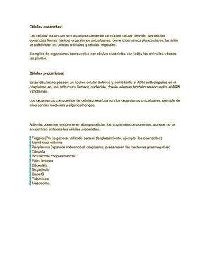 Células Eucariotas Y Procariotas
