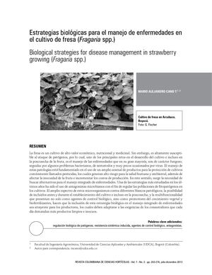 enfermedades de cultivos de fresa