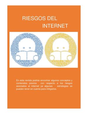 Riesgos Asociados Al Internet