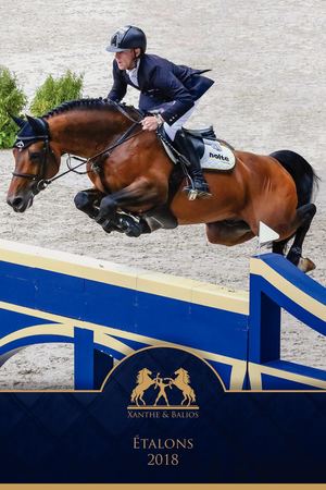 Xanthe & Balios - Étalons 2018