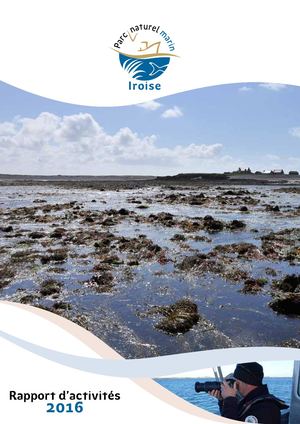 Rapport d'activités 2016