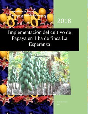 Implementación del cultivo de Papaya