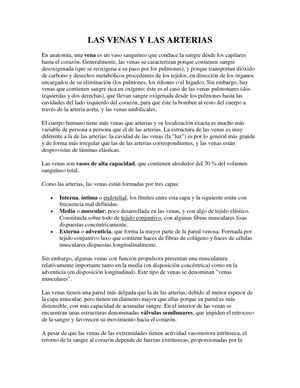 que transportan las venas y arterias