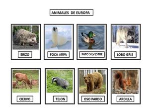 Animales Europeos