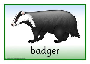 Flashcards British Animals