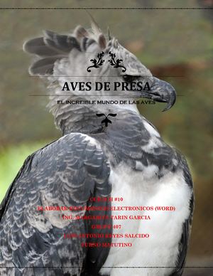 Aves De Presa
