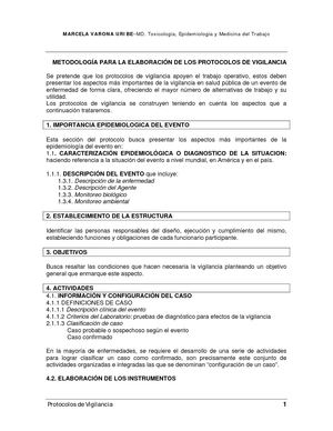 Guia Para Elaborar Un Protocolo