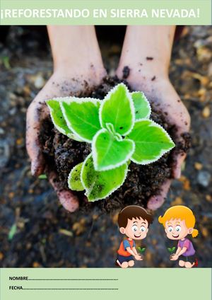 Cuadernillo De Reforestación