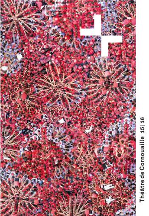 Saison 2015-2016 | Théâtre de Cornouaille