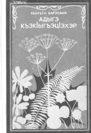 АДЫГЭ КЪЭК1ыгъэц1эхэр ХЬЭКЪУН Б