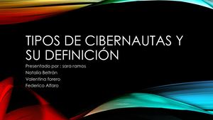 Tipos De Cibernautas Y Su Definición