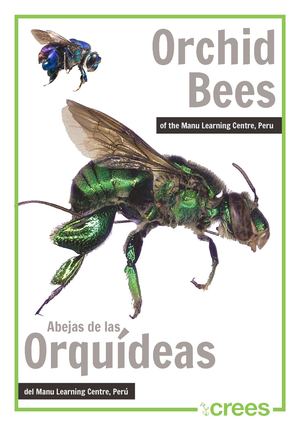 Orchid Bees of the Manu Learning Centre, Peru