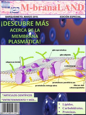 Revista De Celular