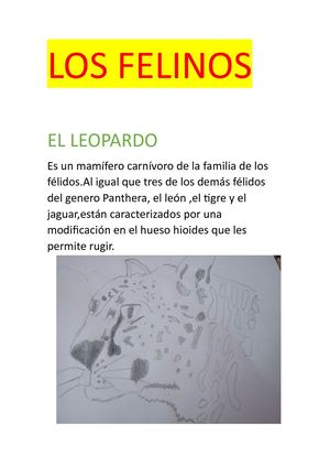 Los Felinos