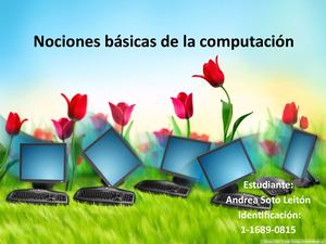 Diccionario Pictorico