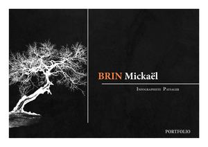 Mickael Brin Dessinateur Paysagiste