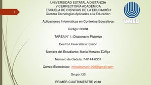 Diccionario Pictórico