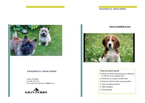 Criadero el Gran Perro