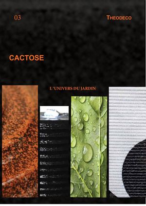 Cata Jardinerie 2018 03 Basse Def