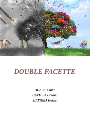 Double Facette