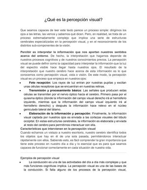 Qué Es La Percepción Visual