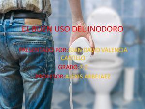 El Buen Uso Del Inodoro