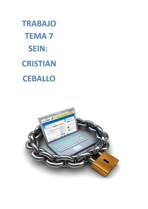 Trabajo Tema 7 Sein (1)