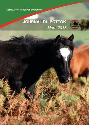 Journal Pottok 2018