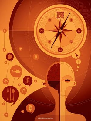 How Language Shapes Thought