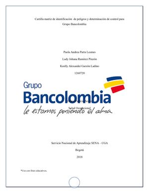 Cartilla Matriz De Identificacion Peligros So