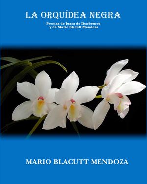 La Orquidea Negra