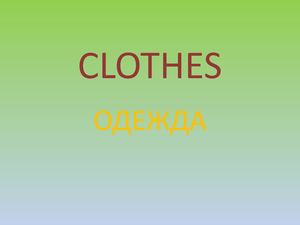 Одежда