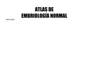 Atlas Embriologia Normal